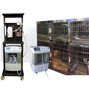 Veterinair Ziekenhuis Zuurstof Machine