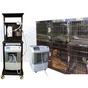 Zuurstofconcentrator Verbind anesthesie voor veterinair