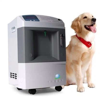 Veterinair 10 Liter Zuurstofconcentrator Dieren 10 Lpm Elektrische Zuurstofconcentrator